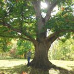 Dan Pantaleo - Instagram Profile Picture of Dan Pantaleo (@danielo_p) on Instagram