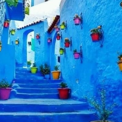 Profile Picture of Abeer Mousa (@Abeer25510364) on Twitter