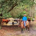 Profile Picture of Aaron Gavronsky (@Aaron-Gavronsky) on Facebook