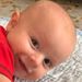 Profile Picture of CONSTANCE LITTLE (@clittle1604) on Pinterest