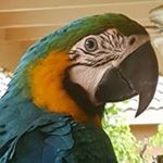 Profile Picture of Trisha Herbert Wilkerson (@trisham73) on Instagram