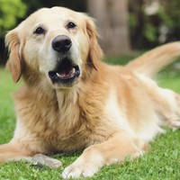 Profile Picture of Kyle Lance  (@kyle-lance-18) on Quora