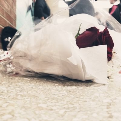 Profile Picture of Allyssa Rose Jackson (@AllyssaJackson) on Twitter