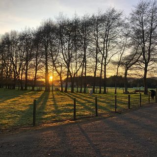 Profile Picture of Doug Ramsay (@dr_in_nz) on Instagram