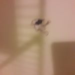 Profile Picture of TERRY (@slickt87) on Instagram