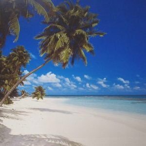 Profile Picture of Eric Coley (@EricCol93606188) on Twitter