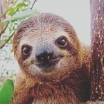 Profile Picture of Kévin et les occasions cocasse (@c_est_cocace) on Instagram