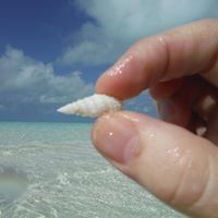 Marc Fourrier - Pinterest Profile Picture of Marc Fourrier (@fourrier0809) on Pinterest