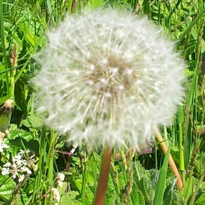 Profile Picture of Vicky Lamb (@v_lawrence339) on Twitter