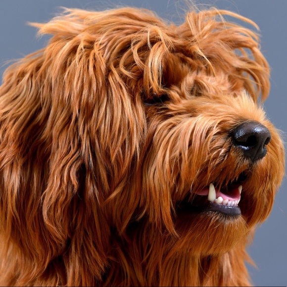 Profile Picture of Martin Chumiecki (@lux_clothing) on Poshmark