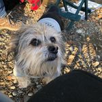 Profile Picture of Roberta C. Goughnour (@the_goughounater1229) on Instagram