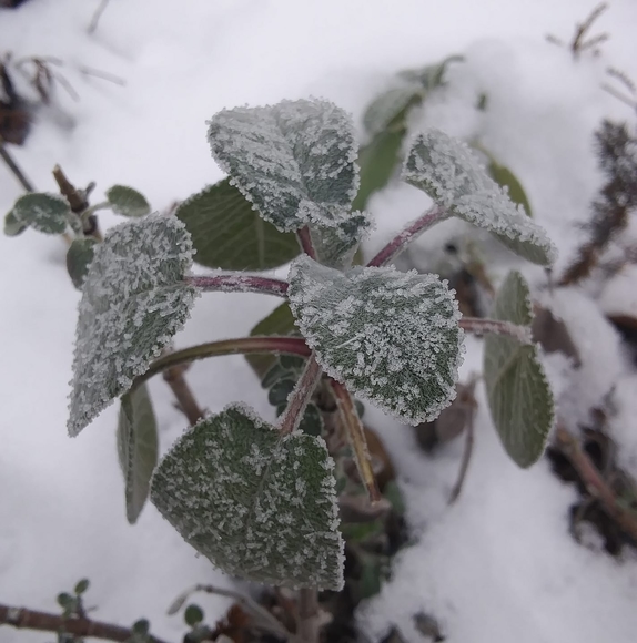 Profile Picture of Janet Holt (@suburbians) on Poshmark