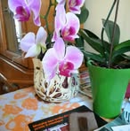 Profile Picture of Stefan Kwieciński (@stefan.kwiecinski.96) on Facebook