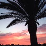 Paul Everington - Instagram Profile Picture of Paul Everington (@pauleverington) on Instagram