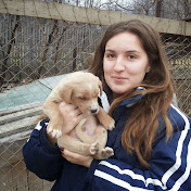 Profile Picture of Bogdan Radulescu (@bogdanradulescu9064) on Youtube