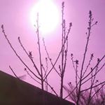 Profile Picture of Bert Brygider (@bertbrygider) on Instagram