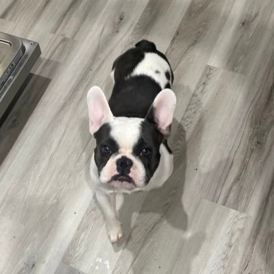 Profile Picture of Argelio Alayon (@CryptoAlayon) on Twitter