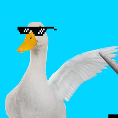 Profile Picture of Dylan Pritchard (@Dylz_the_duck) on Twitter