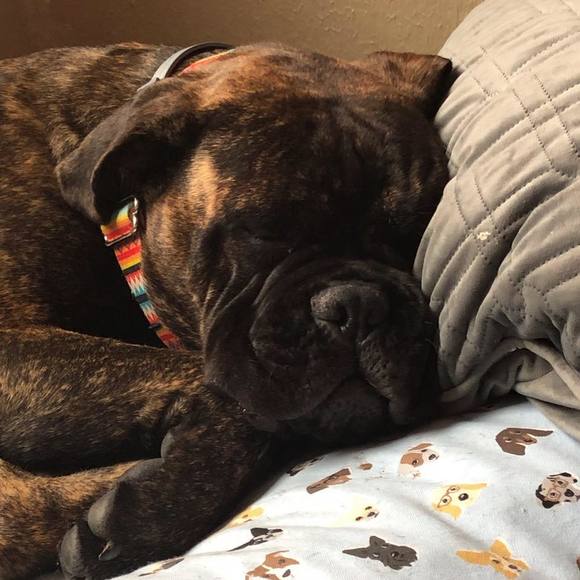 Profile Picture of Amy Ferimer (@amyferimer) on Poshmark