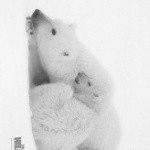 Profile Picture of Gokey (@sterian94725ni) on Instagram