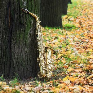 Profile Picture of Sean R (@BackpackingSax) on Twitter