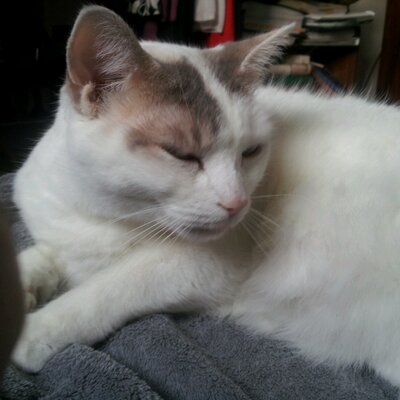 Profile Picture of Malcolm PURDY (@MalcolmPURDY) on Twitter