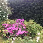 Profile Picture of Gordana Fogli (@gordana.fogli) on Facebook