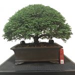 Profile Picture of Gary Hsieh (@gary.hsieh.393) on Instagram