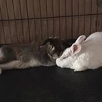 Profile Picture of Nathan Pettigrew (@pettigrew.nathan) on Instagram