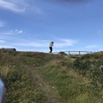 Profile Picture of Alice (@alice_rummery) on Instagram