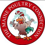 Profile Picture of Scott D DeMoranville (@scott.demoranville) on Instagram