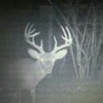 Profile Picture of Kevin Crick (@kevin_crick) on Instagram