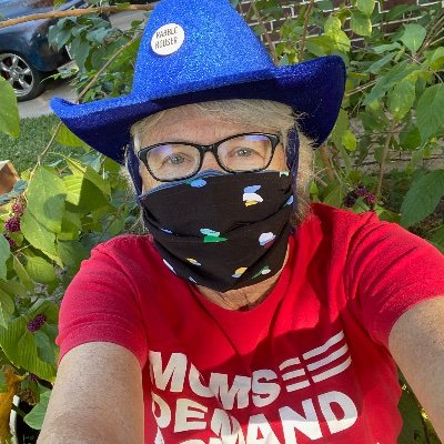 Profile Picture of Deborah Lancaster (@Grandmomaction) on Twitter