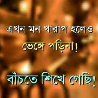 Profile Picture of Abul Hossain (@abulhossain3660) on Twitter