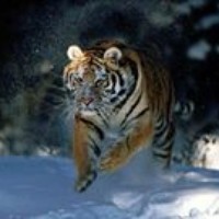 Profile Picture of Gail Duncan (@gail-duncan-2) on Quora