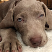 Profile Picture of Aaron Booker (@avocadosalsa7004) on Youtube