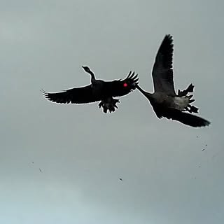 Profile Picture of James Paulhamus (@jamespaulhamus) on Instagram