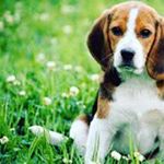Profile Picture of kelly enders (@kelly167599) on Instagram