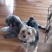 Profile Picture of Richard Penna (@richard.penna.927) on Facebook