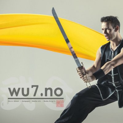 Profile Picture of Kim Gibson (@gibsonwushu) on Twitter