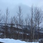 Profile Picture of Nicholas Felix (@nicholas_fs4) on Instagram