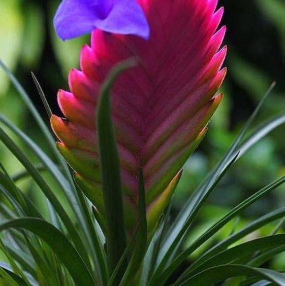 Profile Picture of Juana Luis (@juanaluis011) on Poshmark