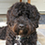 Profile Picture of Deanna Livingston (@deanna.livingston) on Flickr