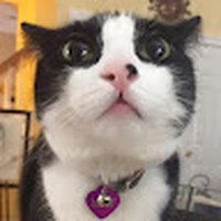 Profile Picture of Jenna Graicerstein (@jenna-graicerstein) on Quora