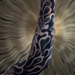 Profile Picture of Scott Mckague (@Scott-Mckague) on Facebook