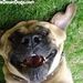 Profile Picture of Kim Townsend Luetjen (@kimmy65301) on Pinterest