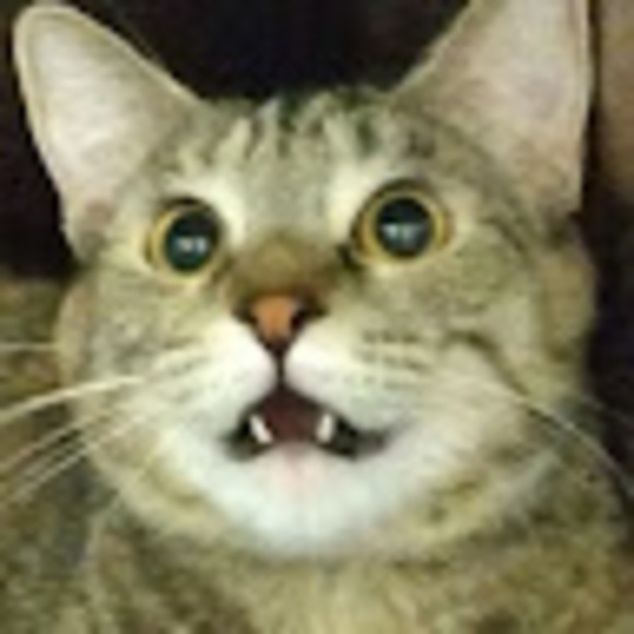 Profile Picture of Dustin Havens (@dustinhavens02) on Poshmark