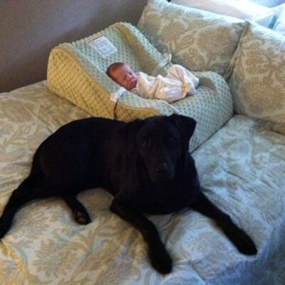 Profile Picture of Kyle Kraft (@kbkraft) on Twitter