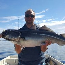 Profile Picture of Hans-Peter D. Hartog (@HPdH84) on Twitter