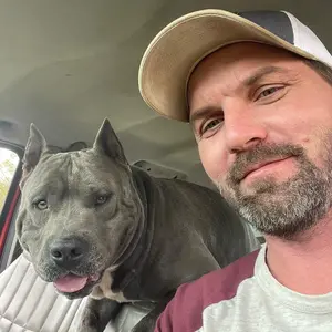 Profile Picture of user8282417328999 (@@petercheese79) on Tiktok